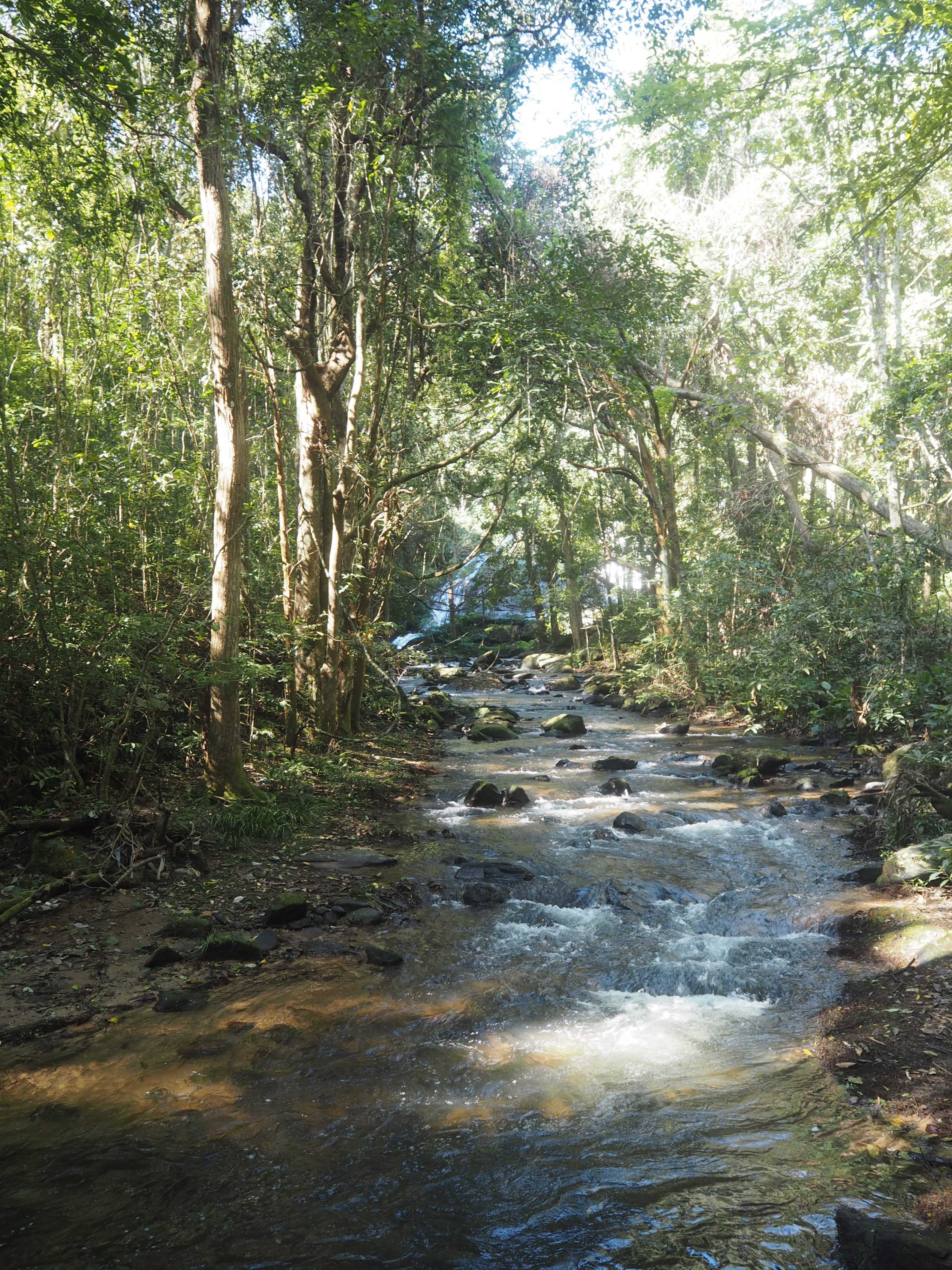 hiking in chiang mai